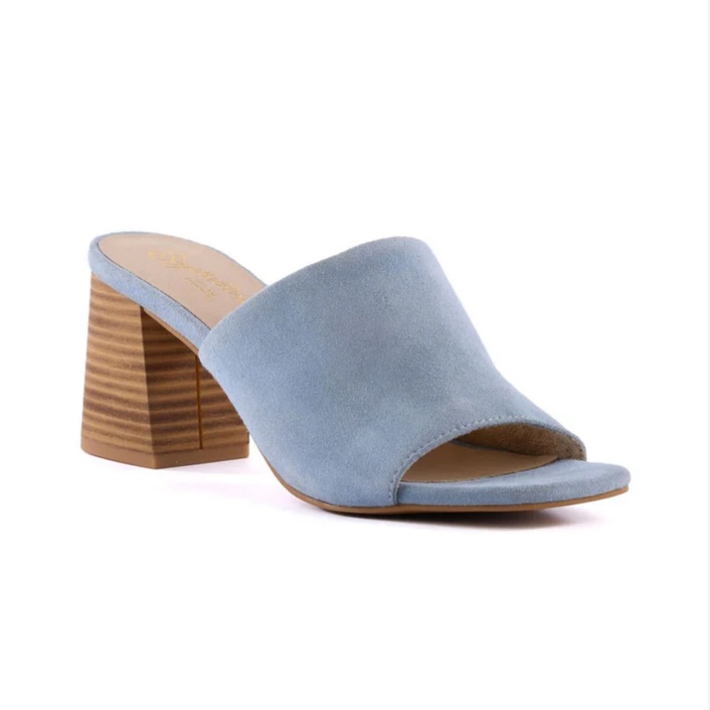 Light Blue Suede Open-Toe Block Heel Mule